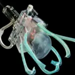 Medusa robot: nuova invenzione soddisfa gli scienziati