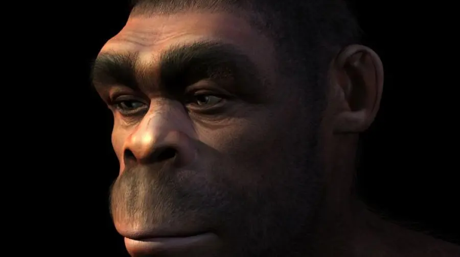 L'uomo di Neanderthal era più intelligente di quanto si credesse