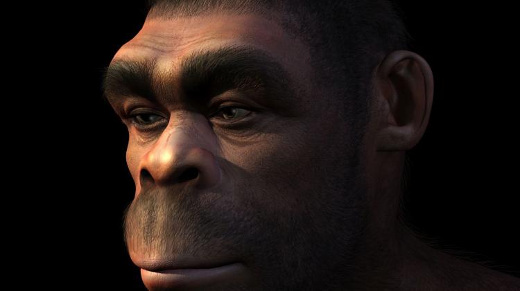 L'uomo di Neanderthal era più intelligente di quanto si credesse