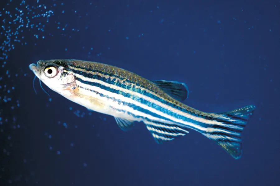 Le riserve marine compromesse dal riscaldamento globale