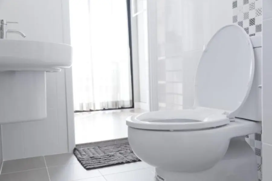Nasce la toilette intelligente: ecco a cosa serve