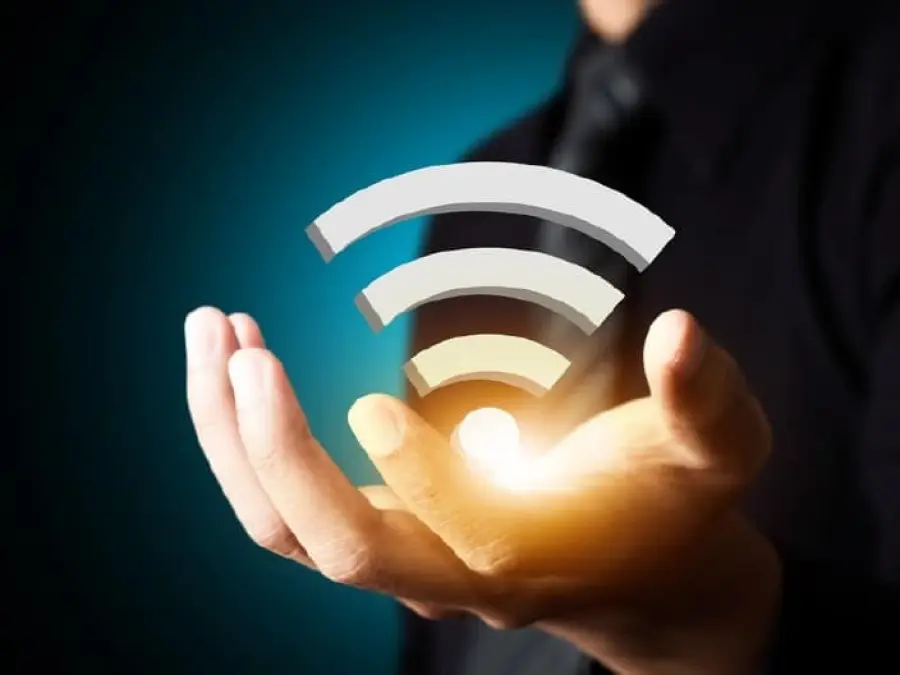 Creata rete wireless per individuare specie di animali più piccole