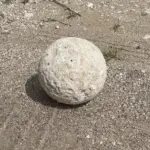 Uomo restituisce manufatto rubato per paura 