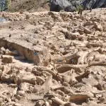 Cerchi con ossa di mammut aiutano gli scienziati a fare una scoperta