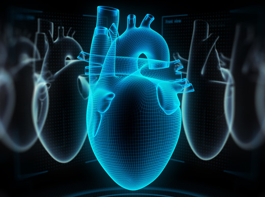 Scienziati studiano la creazione di un cuore robotico per i trapianti