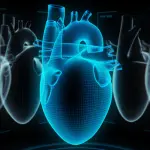 Scienziati studiano la creazione di un cuore robotico per i trapianti