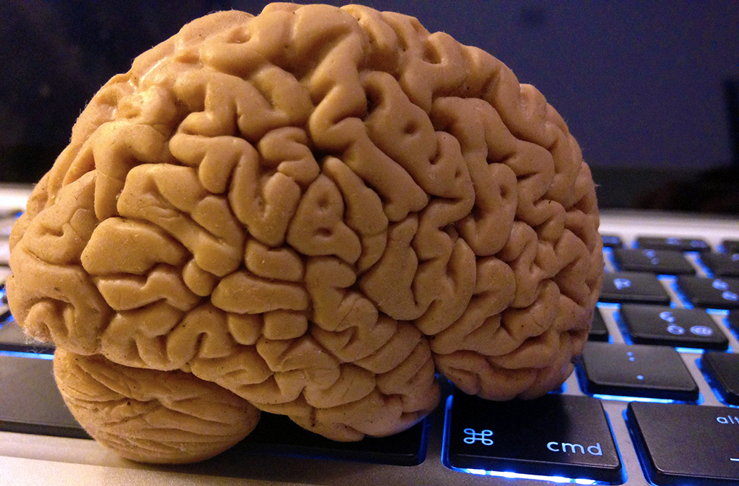 Il cervello lavora ancora dopo la morte: a dirlo è uno studio