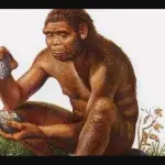 Trovati resti di un'antica scimmia che camminava a due zampe