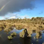 Affidarsi alla natura per combattere il cambiamento climatico