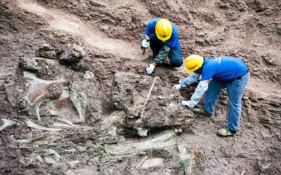 Perù: trovati resti della scimmia più piccola al mondo