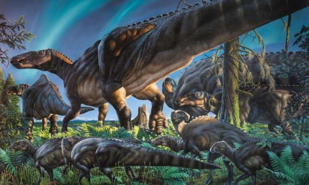 Scoperto nuovo dinosauro a becco d'anatra