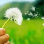 Tutto ciò che viene dalla Natura ha una struttura simmetrica, lo studio