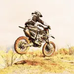 Comprare una Pit Bike per entrare nel mondo dei motori