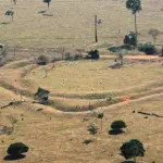 Amazzonia sempre più indifesa dagli incendi