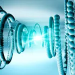 Onde sonore usate per ricostruire le ossa, lo studio