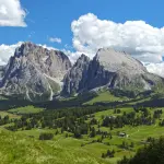 I vivai del Trentino: le caratteristiche delle aziende di qualità