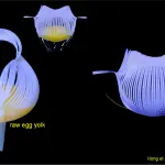 Realizzata in laboratorio pinza robotica che prende il tuorlo d'uovo senza romperlo