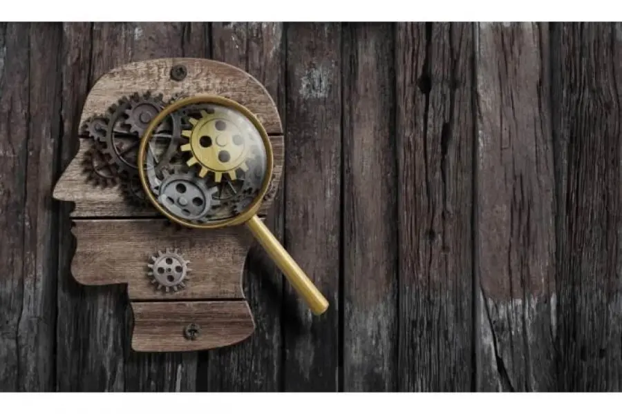 Dimenticare è una forma di apprendimento: nuova teoria degli studiosi di Dublino e Toronto