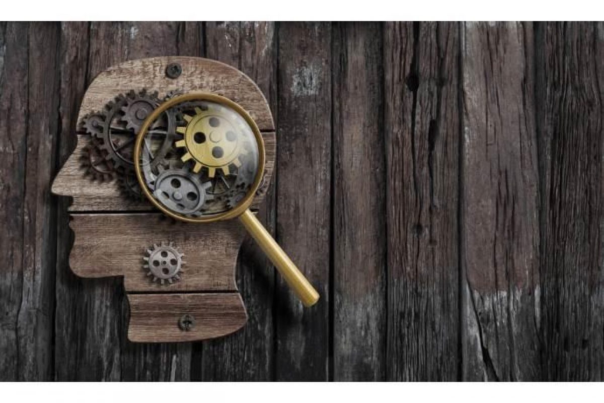 Dimenticare è una forma di apprendimento: nuova teoria degli studiosi di Dublino e Toronto