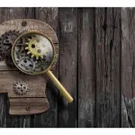 Dimenticare è una forma di apprendimento: nuova teoria degli studiosi di Dublino e Toronto