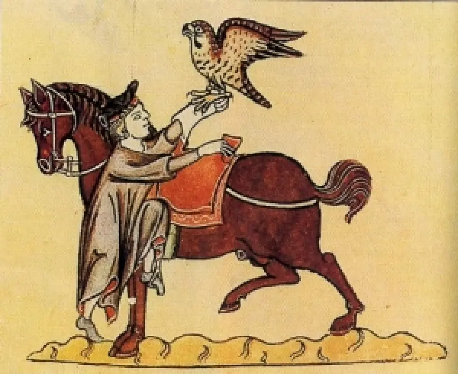 I cavalli usati nel medioevo in guerra erano di poco più alti del pony: lo studio