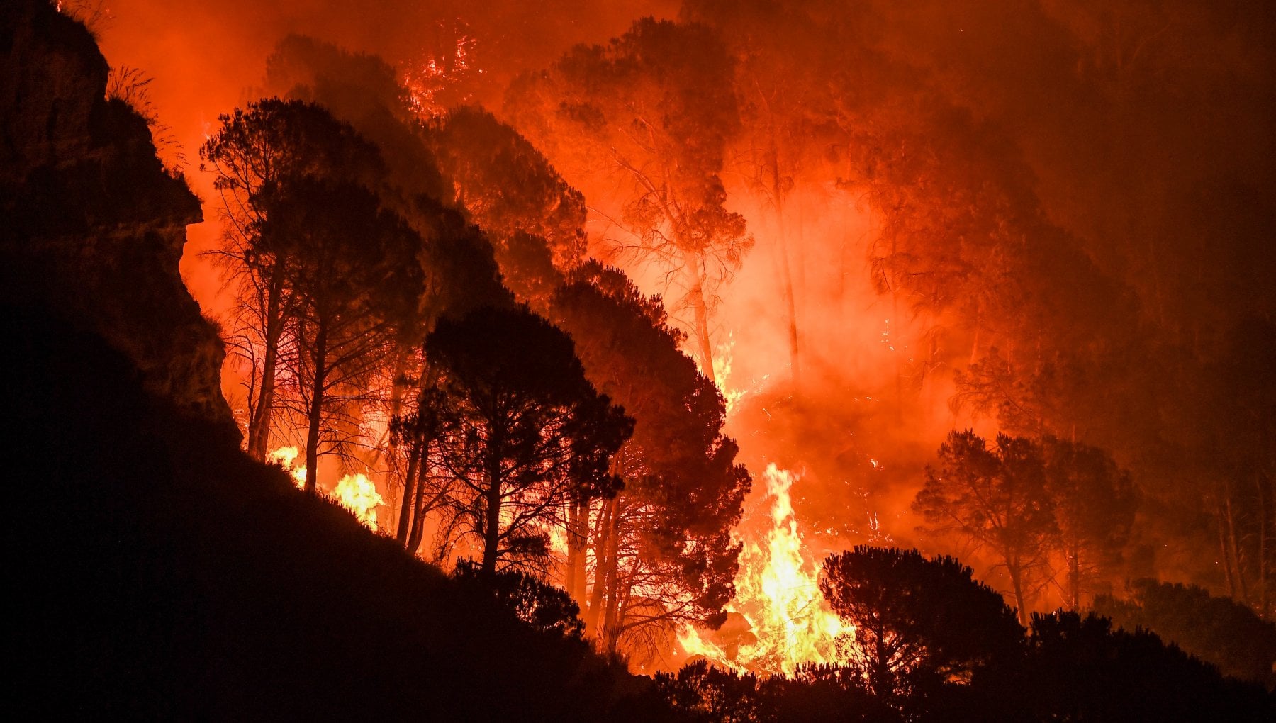Le tossine del fumo d'incendi possono compromettere la salute del cervello