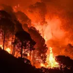 Le tossine del fumo d'incendi possono compromettere la salute del cervello