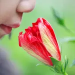 Gli odori chimici rendono aggressive le donne, lo studio