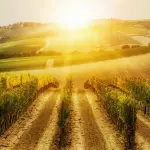 Vacanze in Toscana all’insegna del relax: le destinazioni migliori