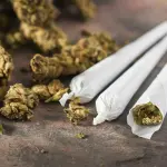 Aumentati i ricoveri da overdose durante l'emergenza pandemica