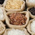 Creata bevanda vegana a base di riso e proteine di piselli