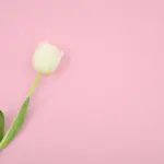 Idee per la festa della mamma: regala un’esperienza!