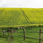 Consigli per la scelta di una recinzione in legno