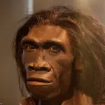 Nuovo studio sui genomica in comune tra l'uomo di Neanderthal e la stirpe attuale