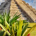 Ancora studi sulle grandi capacità dei Maya: nuova ipotesi sulla vegetazione