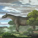 Scoperti resti di un rinocetonte gigante, lo studio