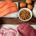 Gli scienziati studiano un modo per creare alimenti proteici e gustosi