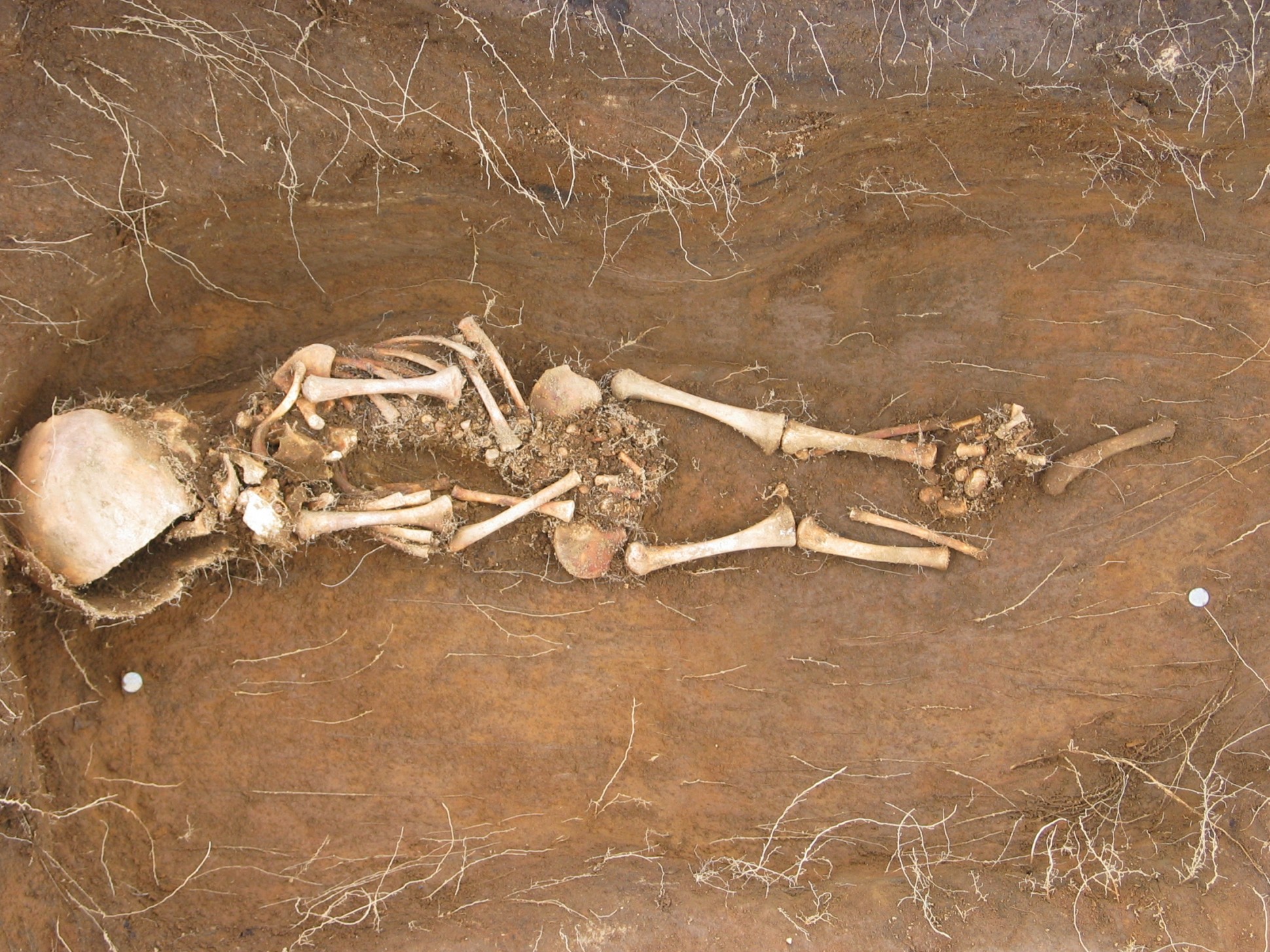 Ritrovate ossa di un vichingo perse secoli fa