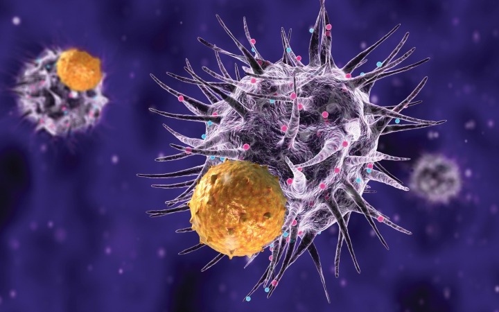 Scoperta nuova tecnica autodistruttiva delle cellule tumorali dei reni