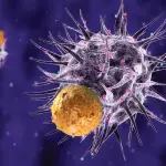 Scoperta nuova tecnica autodistruttiva delle cellule tumorali dei reni