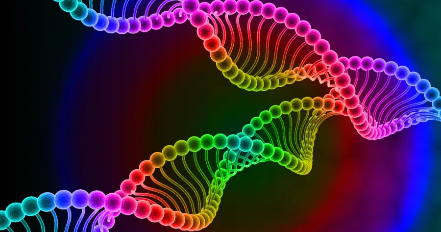 Nuove scoperte sul DNA fanno avanzare gli scienziati