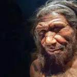 Ominidi abituati ad usare lo stuzzicadenti: lo studio