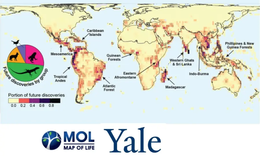 Scienziati di Yale pubblicano la mappa della vita sconosciuta