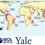Scienziati di Yale pubblicano la mappa della vita sconosciuta