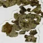 Rotolo biblico di 2 mila anni fa trovato nella Grotta dell'Orrore, in Israele