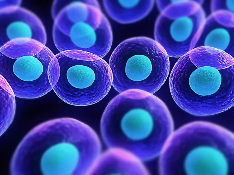 Gene contro lo stress presente nelle nostre cellule: lo studio