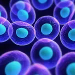 Gene contro lo stress presente nelle nostre cellule: lo studio