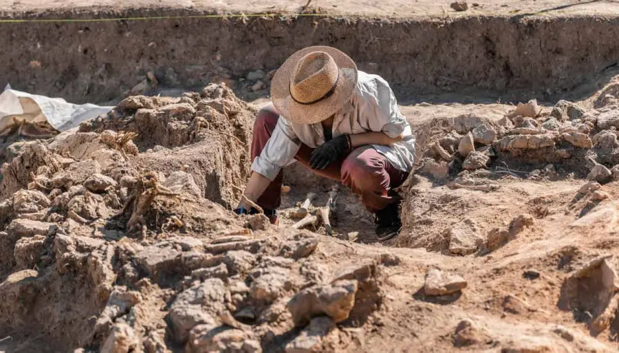 Mummia avvolta nel fango ritrovata dagli archeologi: la scoperta