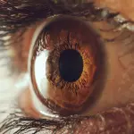 L'inquinamento peggiora i problemi di vista: lo studio