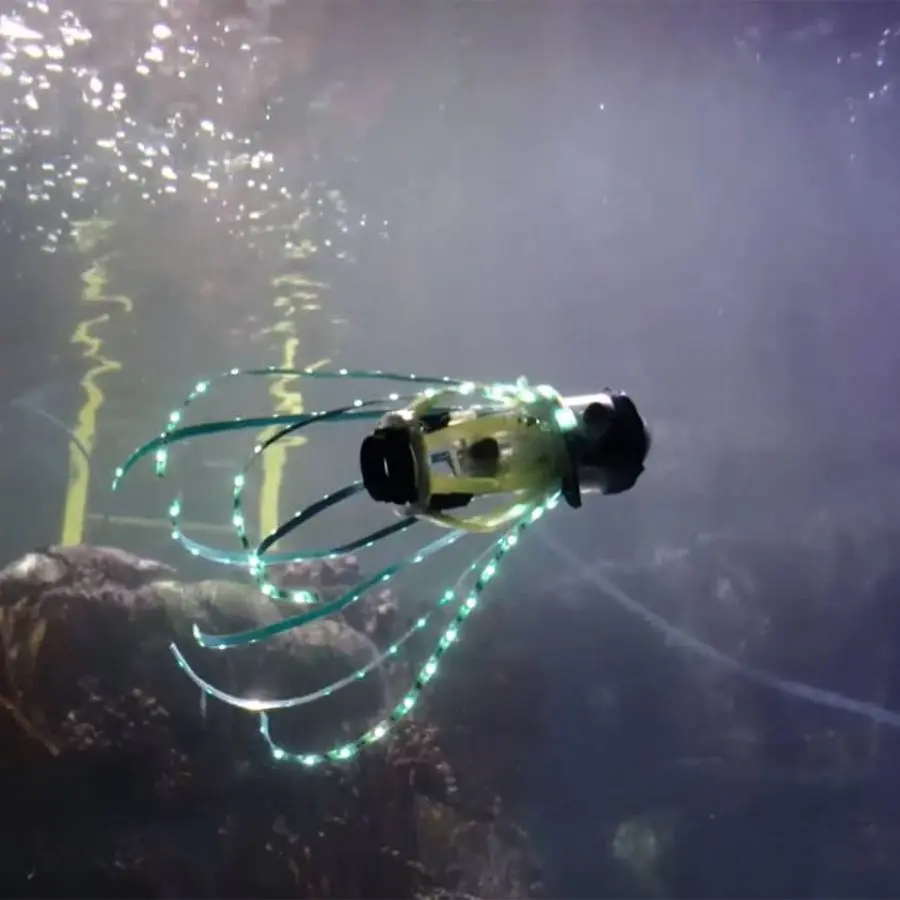 Dai calamari robot potrebbe nascere un nuovo progetto di sottomarini